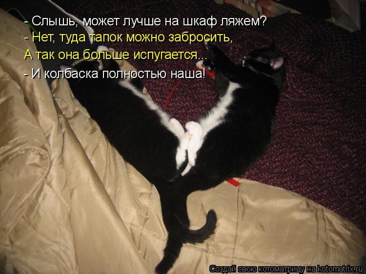 - Слышь, может лучше на шкаф ляжем? - Нет, туда тапок можно забросить, А так она больше испугается...... Котоматрица: - Слышь, может лучше на шкаф ляжем? - Нет, туда тапок можно забросить, А так она больше испугается... - И колбаска полностью наша!