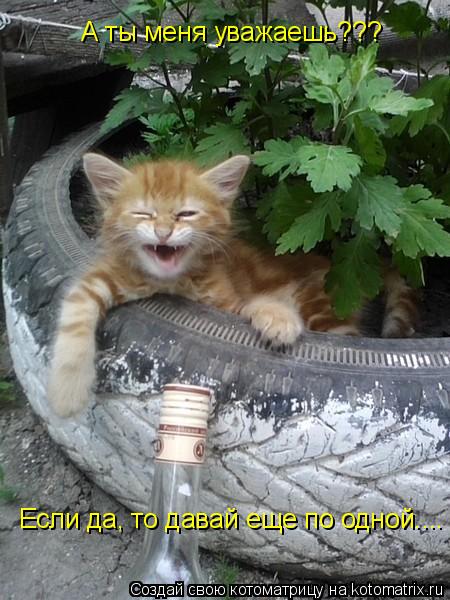 А ты меня уважаешь??? Если да, то давай еще по одной....... Котоматрица: А ты меня уважаешь??? Если да, то давай еще по одной....