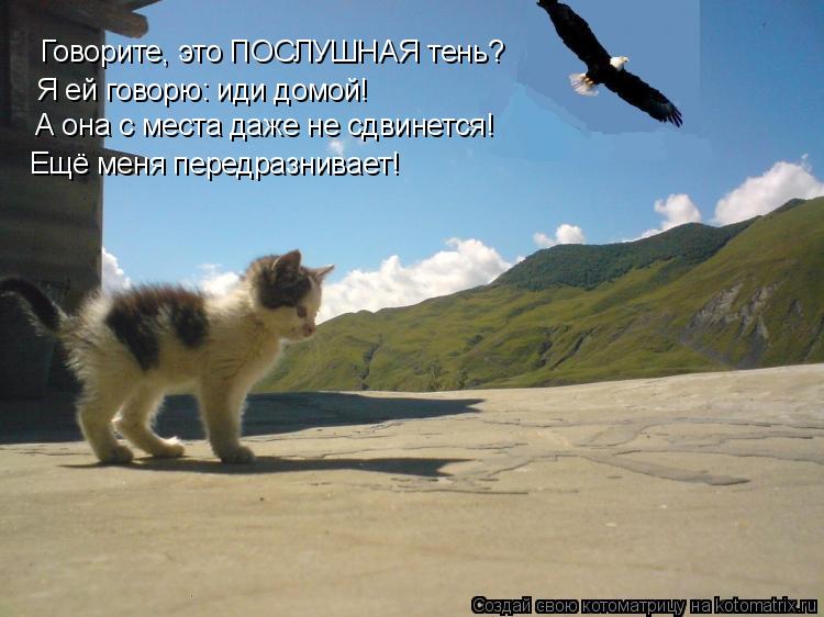 Говорите, это ПОСЛУШНАЯ тень? Я ей говорю: иди домой! А она с места даже не сдвинется! Ещё меня пере... Котоматрица: Говорите, это ПОСЛУШНАЯ тень? Я ей говорю: иди домой! А она с места даже не сдвинется! Ещё меня передразнивает!