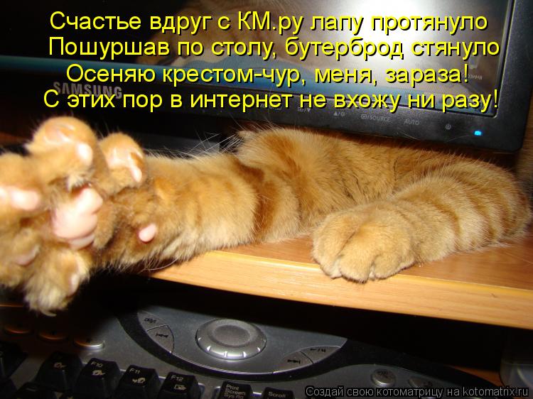 Пошуршав по столу, бутерброд стянуло Осеняю крестом-чур, меня, зараза! Счастье вдруг с КМ.ру лапу про... Котоматрица: Пошуршав по столу, бутерброд стянуло Осеняю крестом-чур, меня, зараза! Счастье вдруг с КМ.ру лапу протянуло С этих пор в интернет не вхожу ни