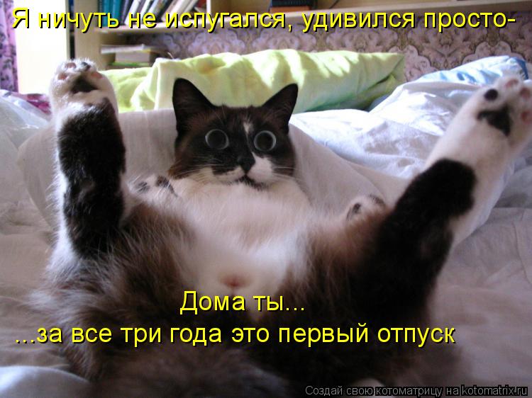 Я ничуть не испугался, удивился просто- Дома ты... ...за все три года это первый отпуск... Котоматрица: Я ничуть не испугался, удивился просто- Дома ты... ...за все три года это первый отпуск