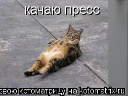 качаю пресс... Котоматрица: качаю пресс