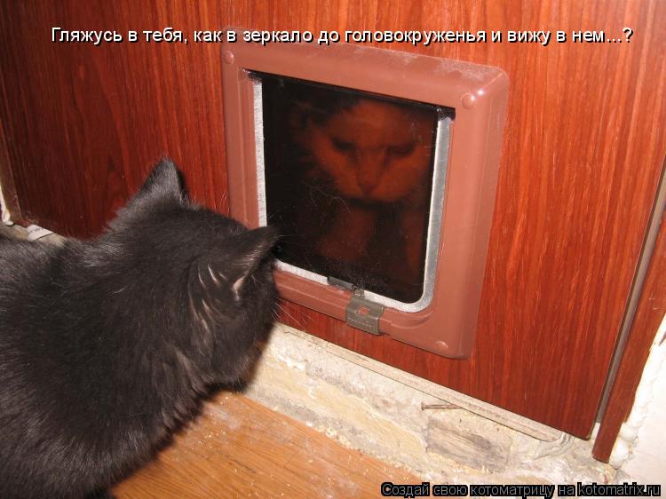 Гляжусь в тебя, как в зеркало до головокруженья и вижу в нем...?... Котоматрица: Гляжусь в тебя, как в зеркало до головокруженья и вижу в нем...?