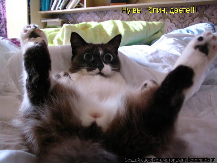 Ну вы , блин, даете!!!... Котоматрица: Ну вы , блин, даете!!!