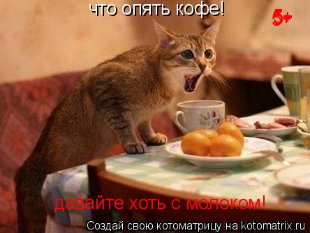 что опять кофе! давайте хоть с молоком! 5+ 5+ 5+... Котоматрица: что опять кофе! давайте хоть с молоком! 5+ 5+ 5+