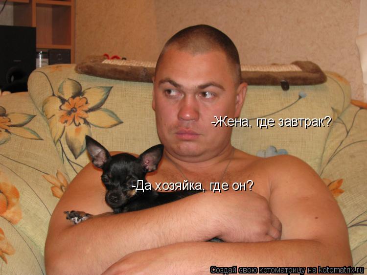 Котоматрица: -Жена, где завтрак? -Да хозяйка, где он?