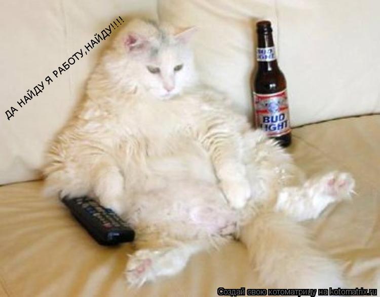 Котоматрица: ДА НАЙДУ Я РАБОТУ,НАЙДУ!!!!