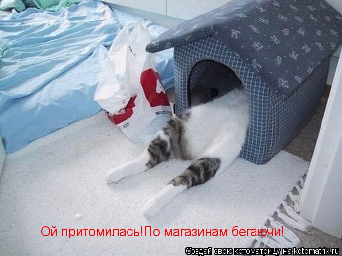 Котоматрица: Ой притомилась!По магазинам бегаючи!