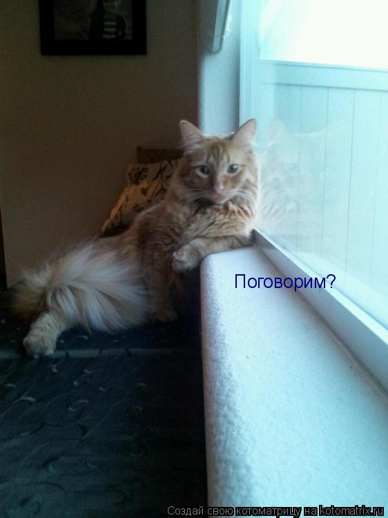 Котоматрица: Поговорим?