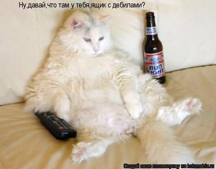 Котоматрица: Ну,давай,что там у тебя,ящик с дебилами?