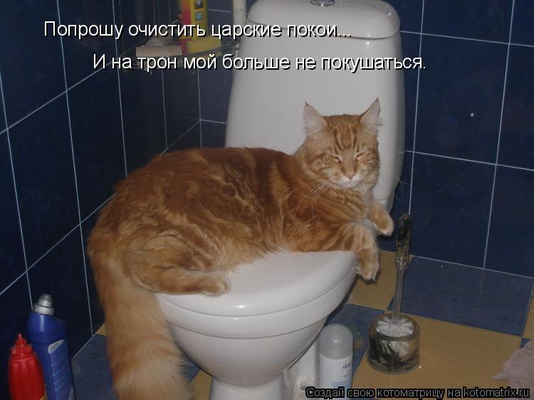 Котоматрица: Попрошу очистить царские покои... И на трон мой больше не покушаться.