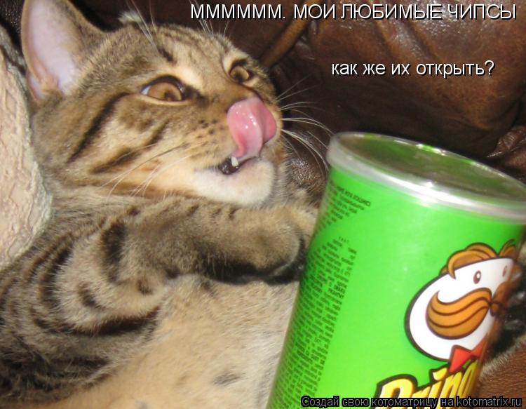Котоматрица: ММММММ. МОИ ЛЮБИМЫЕ ЧИПСЫ как же их открыть?