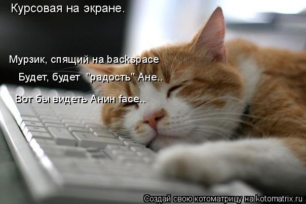 Котоматрица: Курсовая на экране. Мурзик, спящий на backspace Будет, будет  "радость" Ане.. Вот бы видеть Анин face..