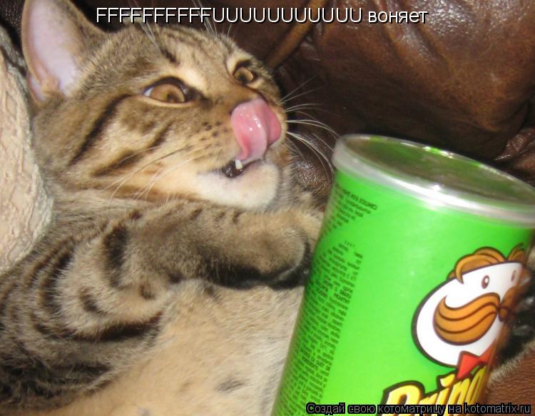 Котоматрица: FFFFFFFFFFUUUUUUUUUUU воняет