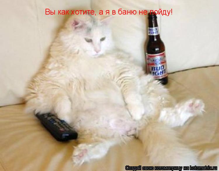 Котоматрица: Вы как хотите, а я в баню не пойду!