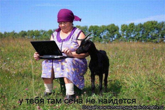 у тебя там сена не найдется... Котоматрица: у тебя там сена не найдется