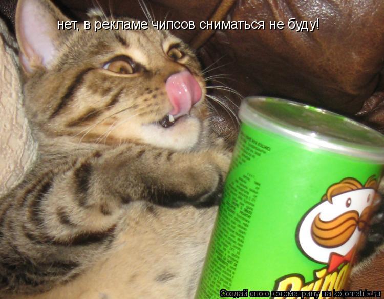нет, в рекламе чипсов сниматься не буду!... Котоматрица: нет, в рекламе чипсов сниматься не буду!