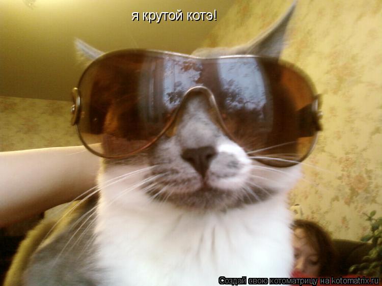 я крутой котэ!... Котоматрица: я крутой котэ!