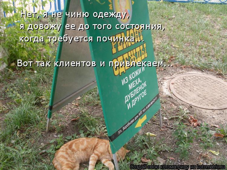 Нет, я не чиню одежду, я довожу ее до того состояния, когда требуется починка... Вот так клиентов и ... Котоматрица: Нет, я не чиню одежду, я довожу ее до того состояния, когда требуется починка... Вот так клиентов и привлекаем...