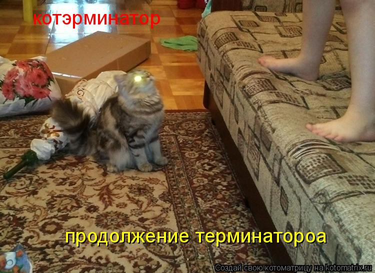 котэрминатор продолжение терминатороа... Котоматрица: котэрминатор продолжение терминатороа