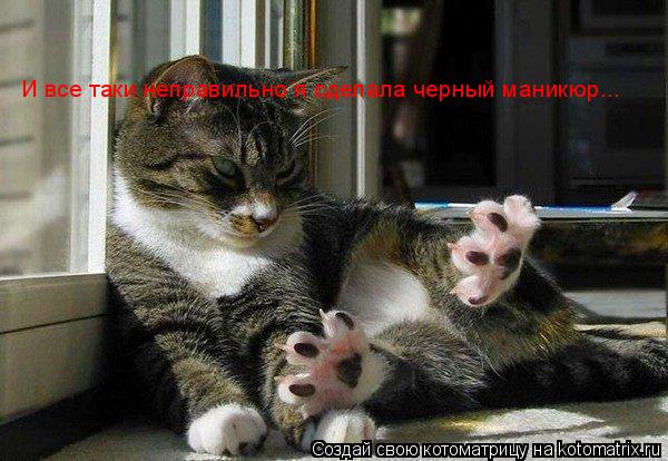 И все таки неправильно я сделала черный маникюр...... Котоматрица: И все таки неправильно я сделала черный маникюр...