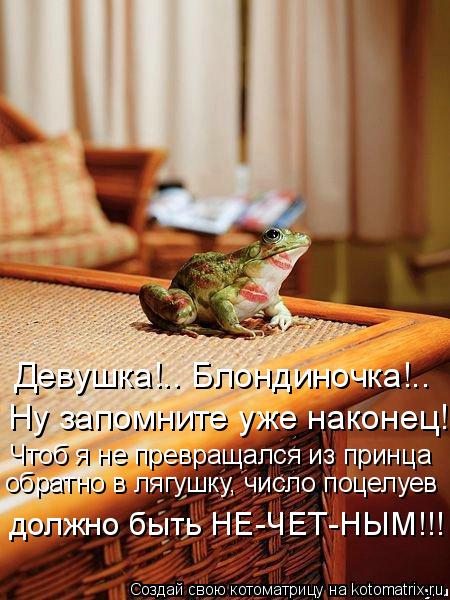 Девушка!.. Блондиночка!.. Ну запомните уже наконец! Чтоб я не превращался из принца обратно в лягушку... Котоматрица: Девушка!.. Блондиночка!.. Ну запомните уже наконец! Чтоб я не превращался из принца обратно в лягушку, число поцелуев должно быть НЕ-ЧЕТ-НЫМ!!!