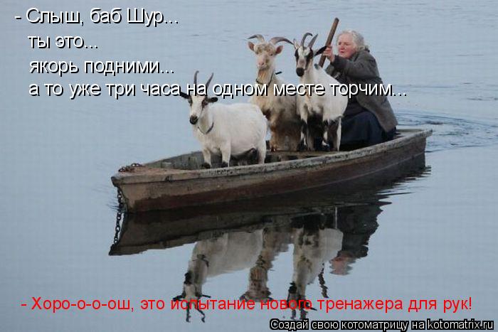 - Слыш, баб Шур... ты это... якорь подними... а то уже три часа на одном месте торчим... - Хоро-о-о-о... Котоматрица: - Слыш, баб Шур... ты это... якорь подними... а то уже три часа на одном месте торчим... - Хоро-о-о-ош, это испытание нового тренажера для рук!