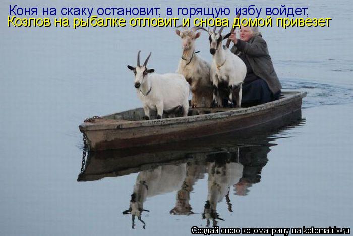 Коня на скаку остановит, в горящую избу войдет, Козлов на рыбалке отловит и снова домой привезет... Котоматрица: Коня на скаку остановит, в горящую избу войдет, Козлов на рыбалке отловит и снова домой привезет