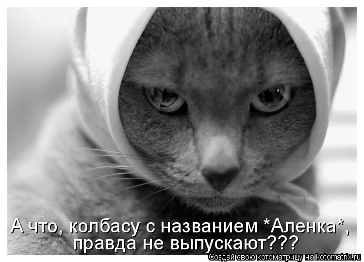 А что, колбасу с названием *Аленка*, правда не выпускают???... Котоматрица: А что, колбасу с названием *Аленка*, правда не выпускают???