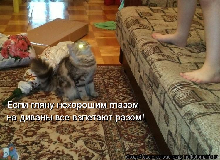 Если гляну нехорошим глазом на диваны все взлетают разом!... Котоматрица: Если гляну нехорошим глазом на диваны все взлетают разом!