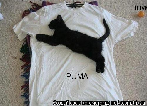 PUMA (пума)... Котоматрица: PUMA (пума)