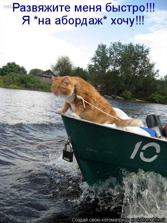 Развяжите меня быстро!!! Я *на абордаж* хочу!!!... Котоматрица: Развяжите меня быстро!!! Я *на абордаж* хочу!!!
