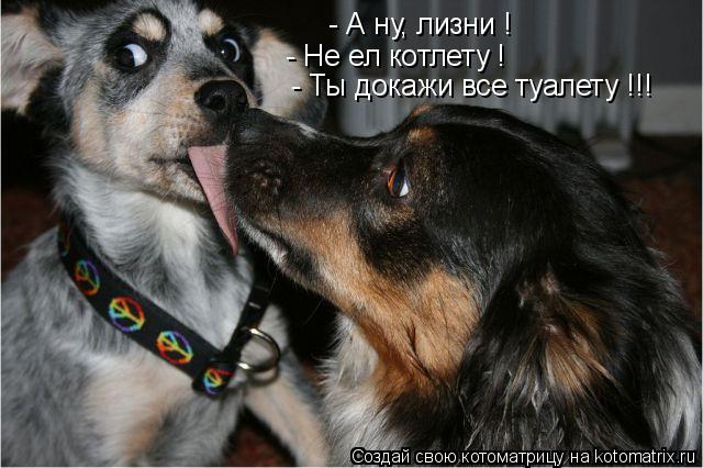 - А ну, лизни ! - Не ел котлету ! - Ты докажи все туалету !!!... Котоматрица: - А ну, лизни ! - Не ел котлету ! - Ты докажи все туалету !!!