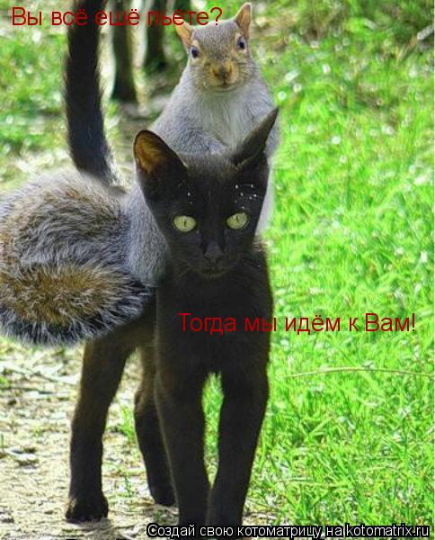 Вы всё ешё пьёте? Тогда мы идём к Вам!... Котоматрица: Вы всё ешё пьёте? Тогда мы идём к Вам!