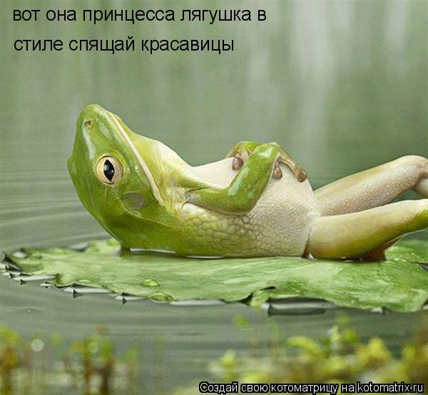 вот она принцесса лягушка в стиле спящай красавицы... Котоматрица: вот она принцесса лягушка в стиле спящай красавицы