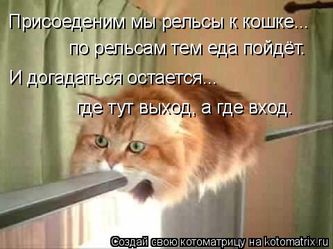 Присоеденим мы рельсы к кошке... по рельсам тем еда пойдёт. И догадаться остается... где тут выход, а... Котоматрица: Присоеденим мы рельсы к кошке... по рельсам тем еда пойдёт. И догадаться остается... где тут выход, а где вход.