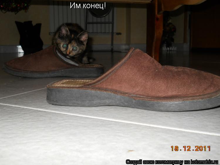 Им конец!... Котоматрица: Им конец!