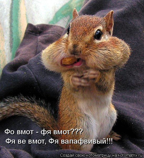Фо вмот - фя вмот??? Фя ве вмот, Фя вапафвивый!!!... Котоматрица: Фо вмот - фя вмот??? Фя ве вмот, Фя вапафвивый!!!