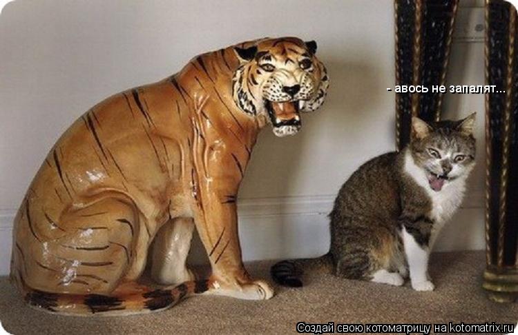 - авось не запалят...... Котоматрица: - авось не запалят...