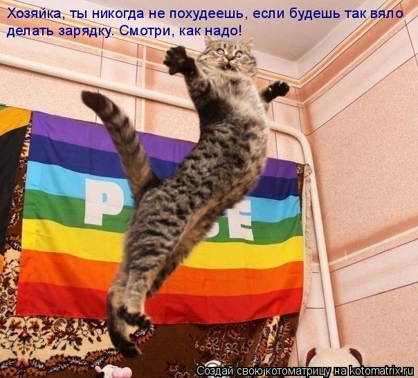 Хозяйка, ты никогда не похудеешь, если будешь так вяло делать зарядку. Смотри, как надо!... Котоматрица: Хозяйка, ты никогда не похудеешь, если будешь так вяло делать зарядку. Смотри, как надо!