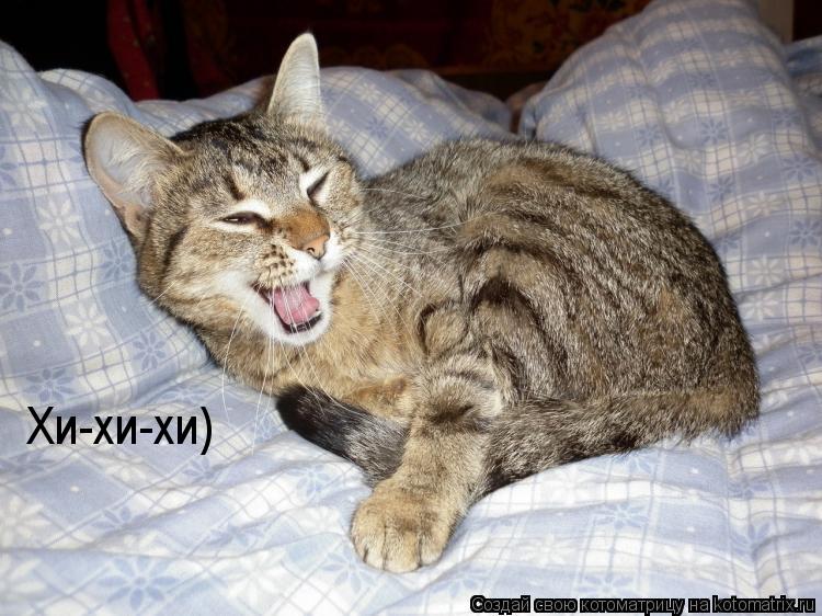 Хи-хи-хи)... Котоматрица: Хи-хи-хи)