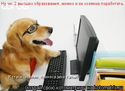 Ну че, 2 высших образования, можно и за хозяина поработать. К стати, хозяин, принеси мне тапки!... Котоматрица: Ну че, 2 высших образования, можно и за хозяина поработать. К стати, хозяин, принеси мне тапки!