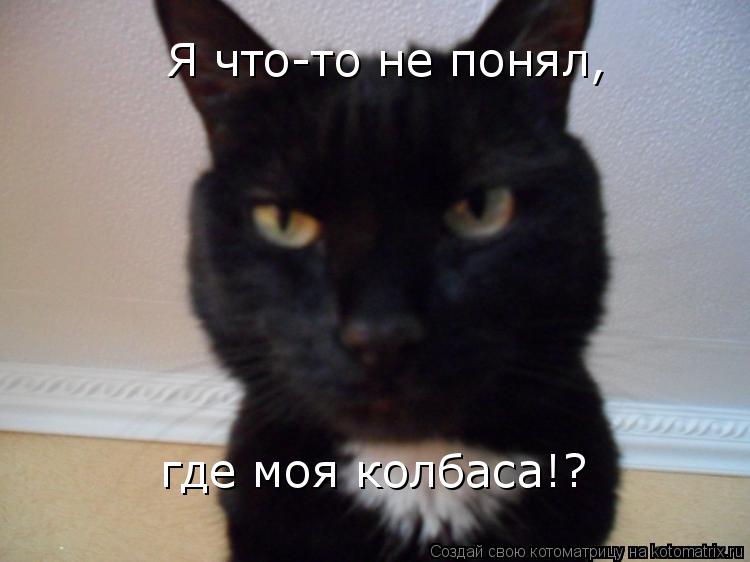 Я что-то не понял, где моя колбаса!?... Котоматрица: Я что-то не понял, где моя колбаса!?