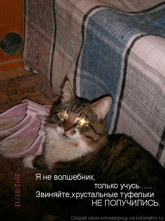 Я не волшебник, только учусь...... Звиняйте,хрустальные туфельки НЕ ПОЛУЧИЛИСЬ.... Котоматрица: Я не волшебник, только учусь...... Звиняйте,хрустальные туфельки НЕ ПОЛУЧИЛИСЬ.