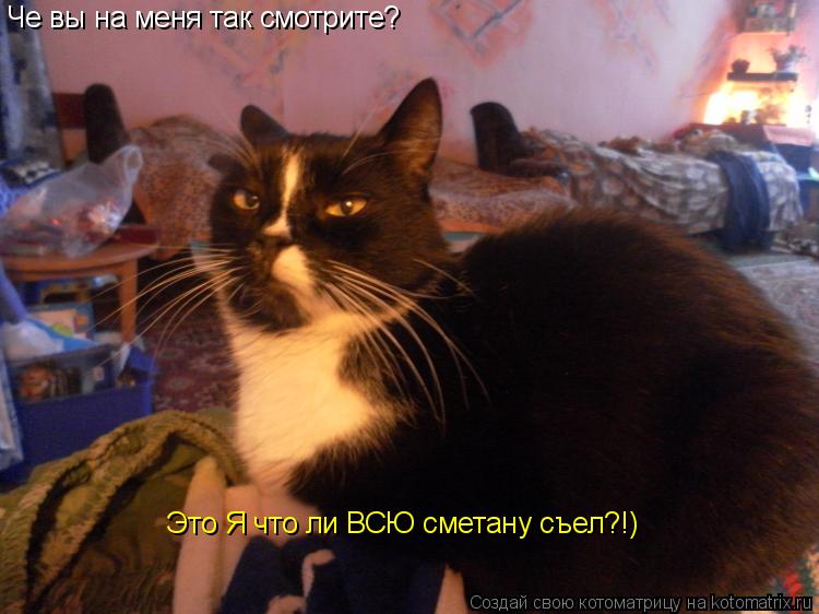 Че вы на меня так смотрите? Это Я что ли ВСЮ сметану съел?!)... Котоматрица: Че вы на меня так смотрите? Это Я что ли ВСЮ сметану съел?!)