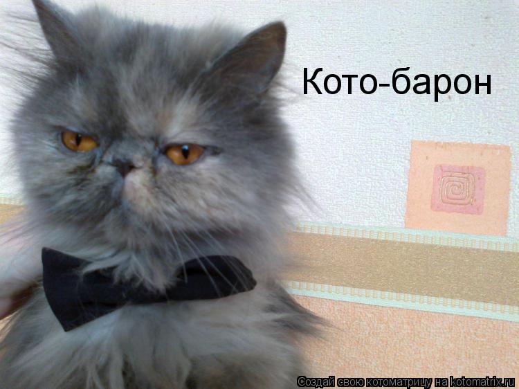 Кото-барон... Котоматрица: Кото-барон