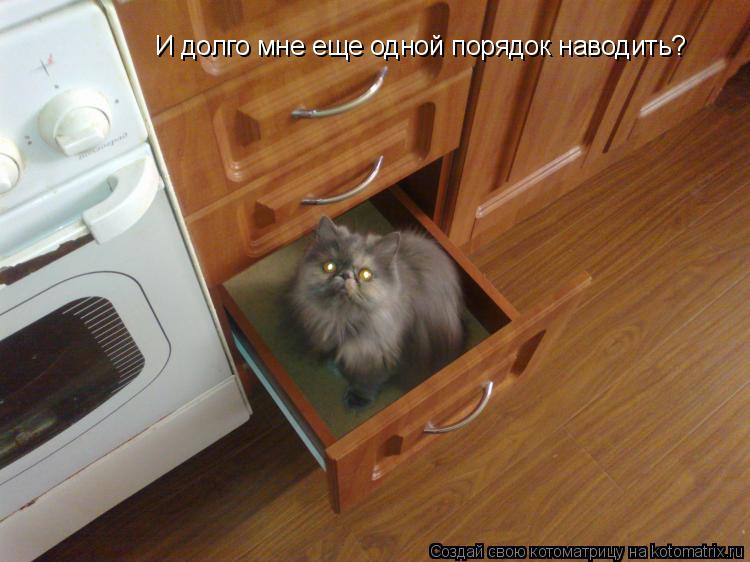 И долго мне еще одной порядок наводить?... Котоматрица: И долго мне еще одной порядок наводить?