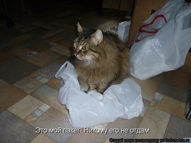 Это мой пакет! Никому его не отдам.... Котоматрица: Это мой пакет! Никому его не отдам.