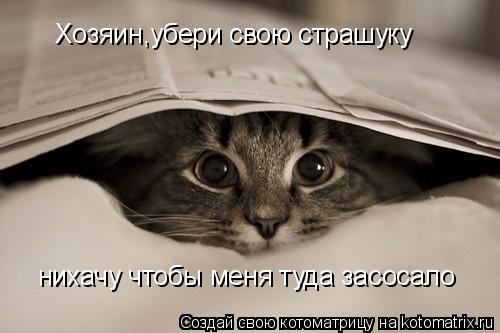 Хозяин,убери свою страшуку нихачу чтобы меня туда засосало... Котоматрица: Хозяин,убери свою страшуку нихачу чтобы меня туда засосало