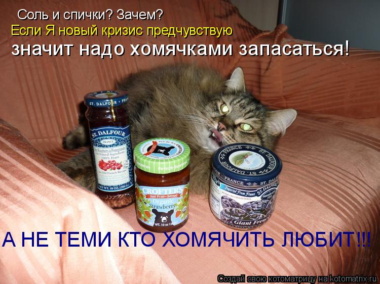 Соль и спички? Зачем? значит надо хомячками запасаться! А НЕ ТЕМИ КТО ХОМЯЧИТЬ ЛЮБИТ!!! Если Я новый ... Котоматрица: Соль и спички? Зачем? значит надо хомячками запасаться! А НЕ ТЕМИ КТО ХОМЯЧИТЬ ЛЮБИТ!!! Если Я новый кризис предчувствую